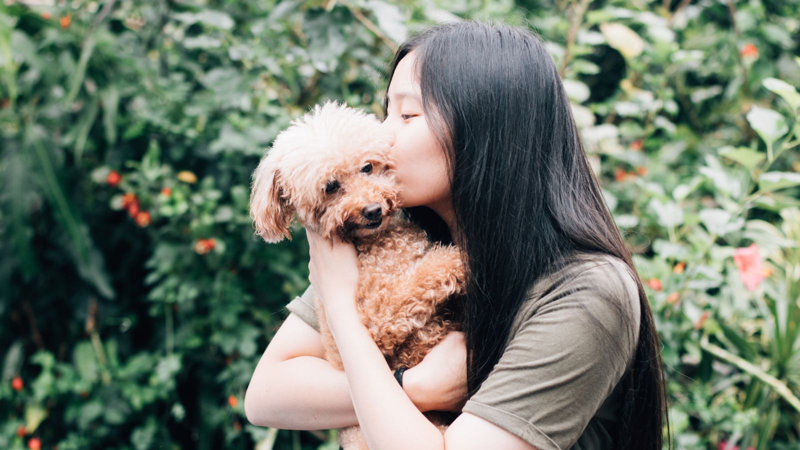 los mejores perros para niños