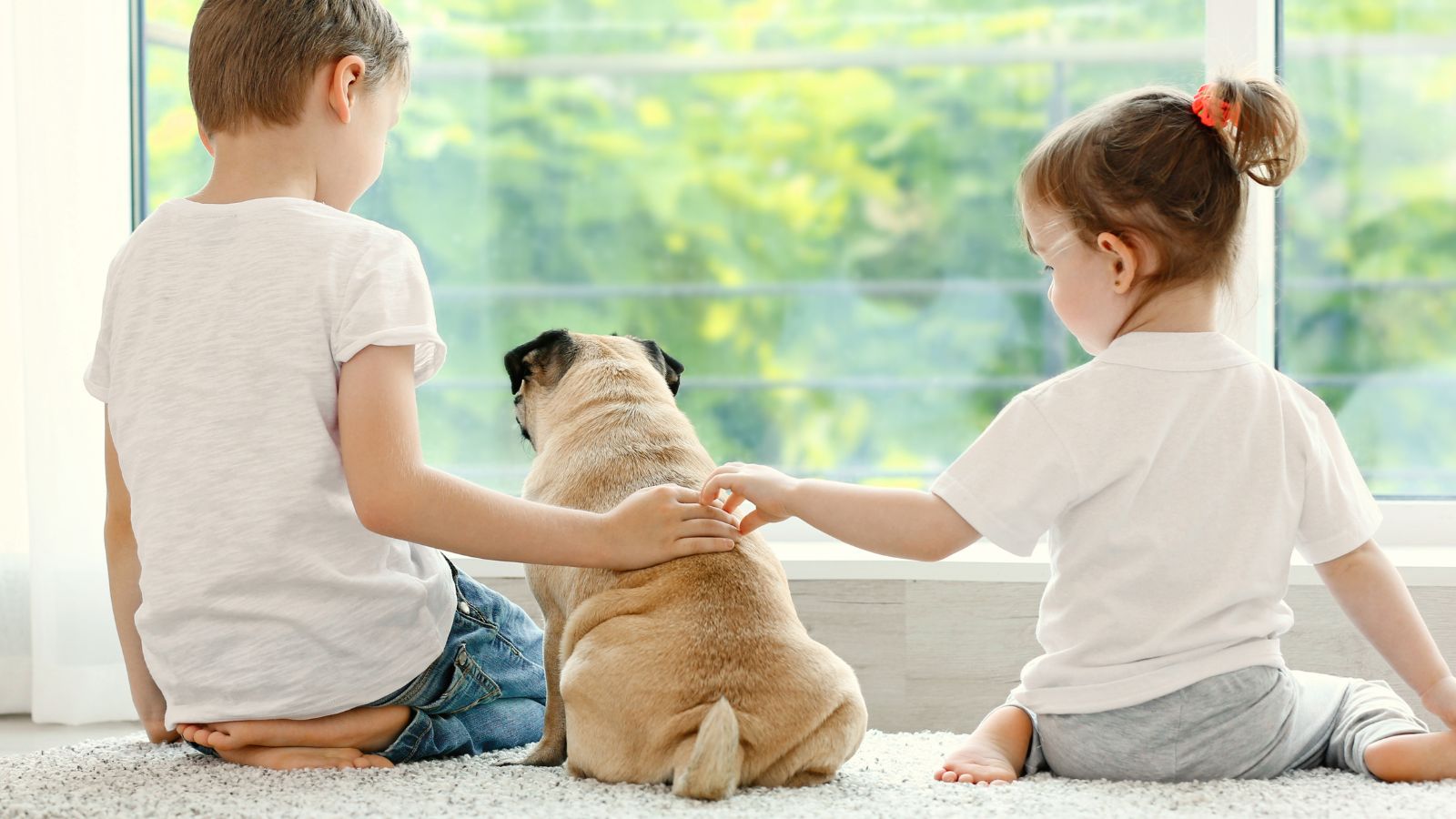 perros juguetones