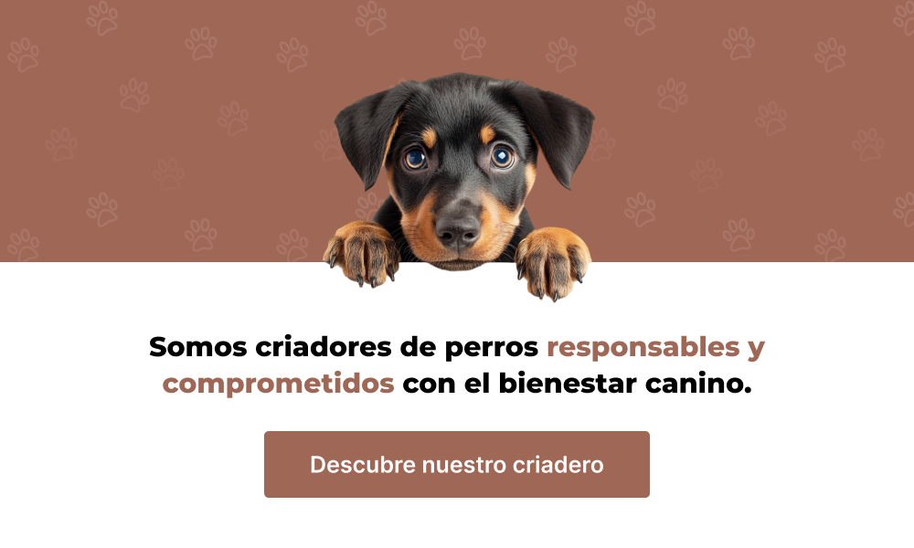 Razas