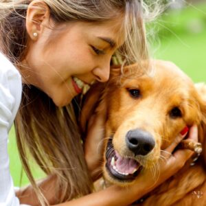 Perros divertidos