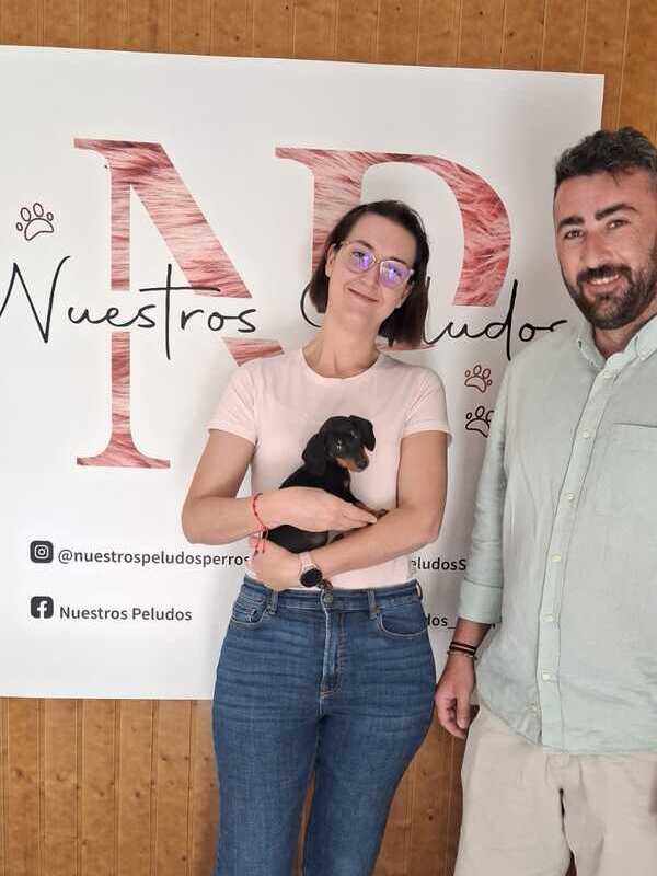 entrega cachorro nuestros peludos